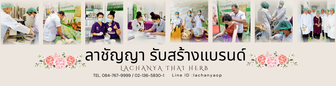 แบนเนอร์4