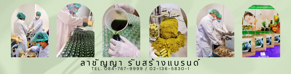 แบนเนอร์5